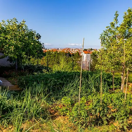 Apartman Chubi 2br Parking Terrace Bbq Vegetable Garden *
